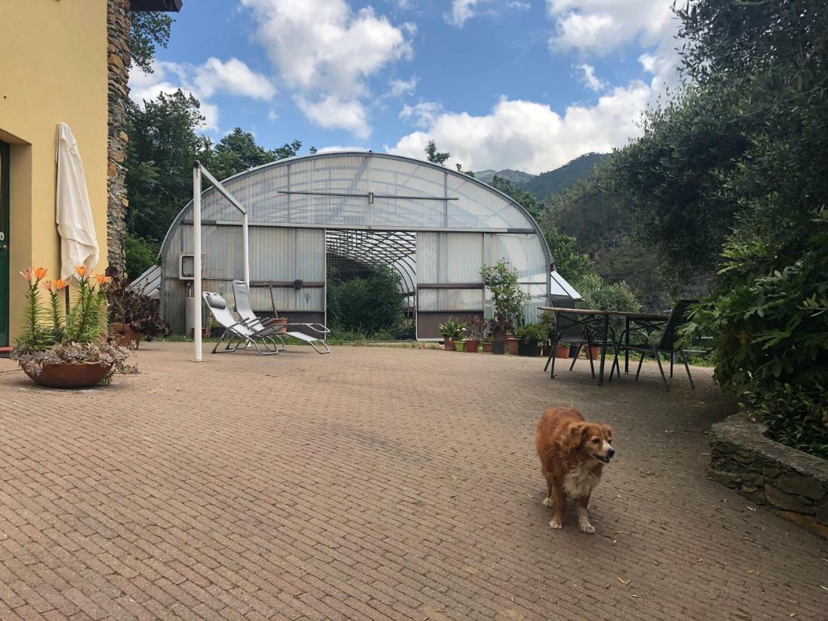 Вілла Agriturismo Argentea Аренцано Екстер'єр фото